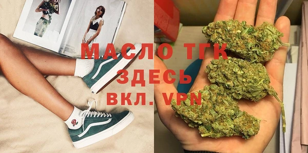 прущие грибы Абаза