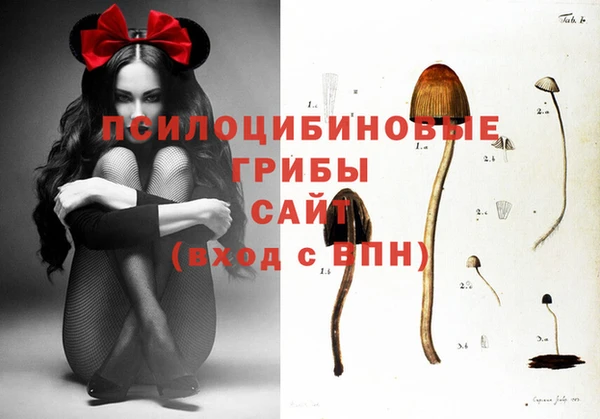 ГАЛЛЮЦИНОГЕННЫЕ ГРИБЫ Абинск