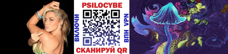 Галлюциногенные грибы Psilocybe  магазин продажи   Ипатово 