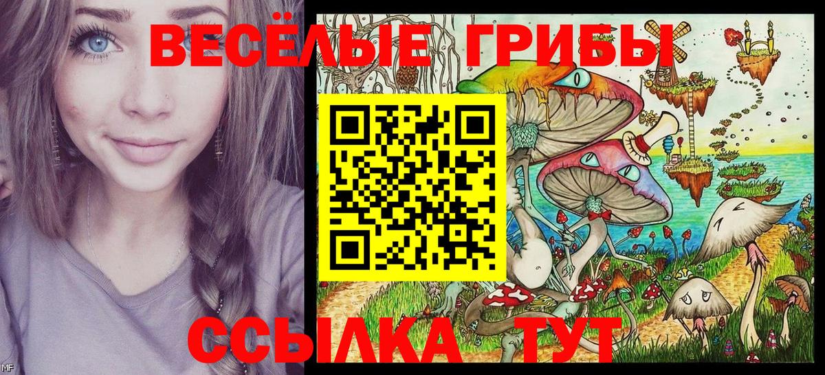 Галлюциногенные грибы GOLDEN TEACHER Ипатово